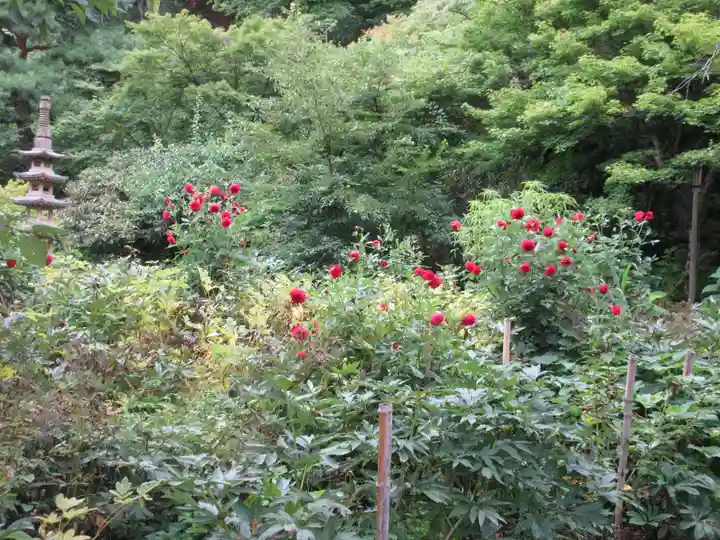 青龍山 吉祥寺(群馬県)