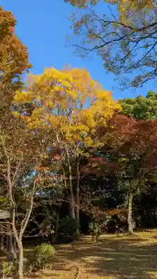 大覚寺(京都府)