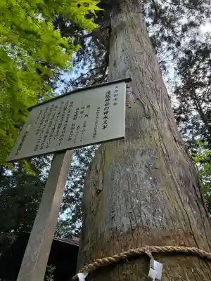 小林瀧尾神社の{uncategorized: "未分類", other: "その他", undefined: "問題あり", building: "その他建物", grave: "お墓", sacred_gate: "鳥居", guardian: "狛犬", statue: "像", buddha: "仏像", history: "歴史", nature: "自然", garden: "庭園", animal: "動物", pagoda: "塔", temizu: "手水舎", mountain_gate: "山門・神門", sanctuary: "本殿・本堂", subordinate: "末社・摂社", art: "芸術", scenery: "景色", jizo: "地蔵", ema: "絵馬", goshuin: "御朱印", omikuji: "おみくじ", items: "授与品その他", amulet: "お守り", goshuincho: "御朱印帳", eats: "食事", festival: "お祭り", votive_dance: "神楽", shichigosan: "七五三参", wedding: "結婚式", experience: "体験その他", initially: "初詣", around: "周辺", anti_infection: "感染症対策"}