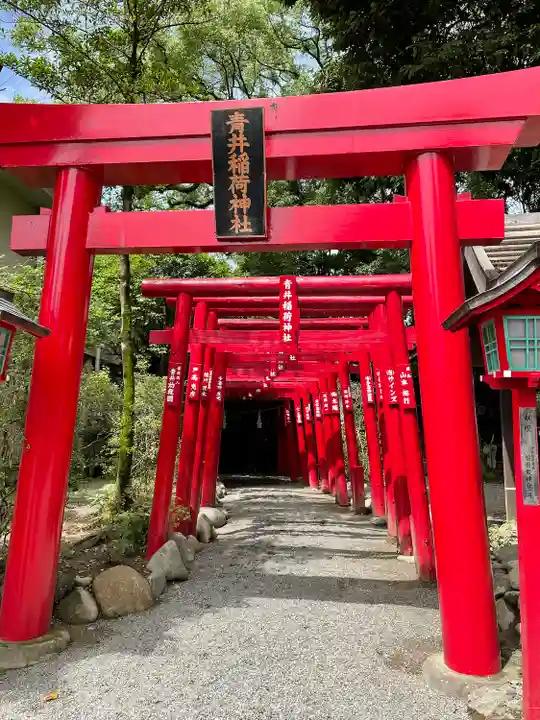 青井阿蘇神社(熊本県)