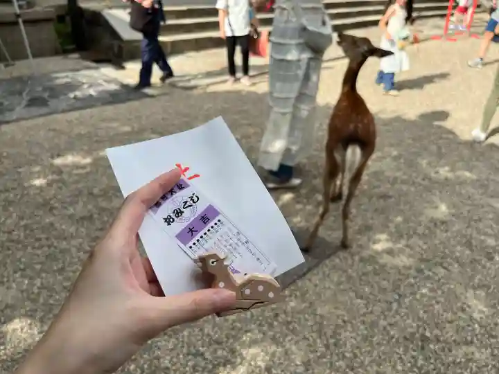 春日大社(奈良県)