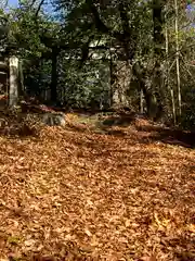 菱野健功神社(長野県)