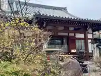 大蓮寺の{uncategorized: "未分類", other: "その他", undefined: "問題あり", building: "その他建物", grave: "お墓", sacred_gate: "鳥居", guardian: "狛犬", statue: "像", buddha: "仏像", history: "歴史", nature: "自然", garden: "庭園", animal: "動物", pagoda: "塔", temizu: "手水舎", mountain_gate: "山門・神門", sanctuary: "本殿・本堂", subordinate: "末社・摂社", art: "芸術", scenery: "景色", jizo: "地蔵", ema: "絵馬", goshuin: "御朱印", omikuji: "おみくじ", items: "授与品その他", amulet: "お守り", goshuincho: "御朱印帳", eats: "食事", festival: "お祭り", votive_dance: "神楽", shichigosan: "七五三参", wedding: "結婚式", experience: "体験その他", initially: "初詣", around: "周辺", anti_infection: "感染症対策"}