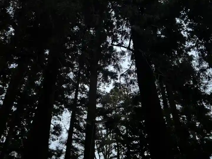 大宮温泉神社(栃木県)