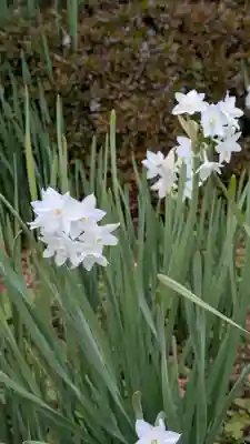 法住寺(大阪府)