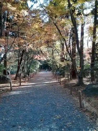 龍安寺(京都府)