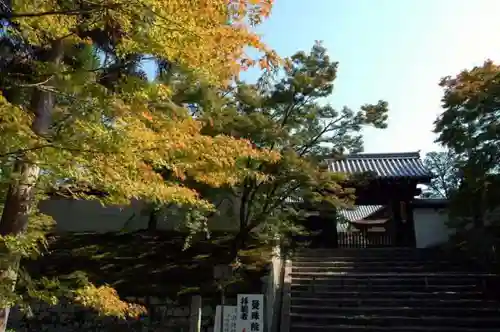 曼殊院門跡の建物その他