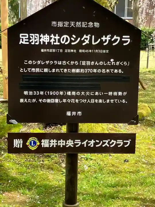 足羽神社の{uncategorized: "未分類", other: "その他", undefined: "問題あり", building: "その他建物", grave: "お墓", sacred_gate: "鳥居", guardian: "狛犬", statue: "像", buddha: "仏像", history: "歴史", nature: "自然", garden: "庭園", animal: "動物", pagoda: "塔", temizu: "手水舎", mountain_gate: "山門・神門", sanctuary: "本殿・本堂", subordinate: "末社・摂社", art: "芸術", scenery: "景色", jizo: "地蔵", ema: "絵馬", goshuin: "御朱印", omikuji: "おみくじ", items: "授与品その他", amulet: "お守り", goshuincho: "御朱印帳", eats: "食事", festival: "お祭り", votive_dance: "神楽", shichigosan: "七五三参", wedding: "結婚式", experience: "体験その他", initially: "初詣", around: "周辺", anti_infection: "感染症対策"}