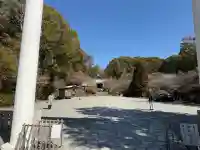 鎌倉宮の{uncategorized: "未分類", other: "その他", undefined: "問題あり", building: "その他建物", grave: "お墓", sacred_gate: "鳥居", guardian: "狛犬", statue: "像", buddha: "仏像", history: "歴史", nature: "自然", garden: "庭園", animal: "動物", pagoda: "塔", temizu: "手水舎", mountain_gate: "山門・神門", sanctuary: "本殿・本堂", subordinate: "末社・摂社", art: "芸術", scenery: "景色", jizo: "地蔵", ema: "絵馬", goshuin: "御朱印", omikuji: "おみくじ", items: "授与品その他", amulet: "お守り", goshuincho: "御朱印帳", eats: "食事", festival: "お祭り", votive_dance: "神楽", shichigosan: "七五三参", wedding: "結婚式", experience: "体験その他", initially: "初詣", around: "周辺", anti_infection: "感染症対策"}