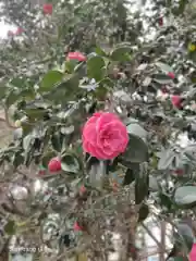 息栖神社の自然