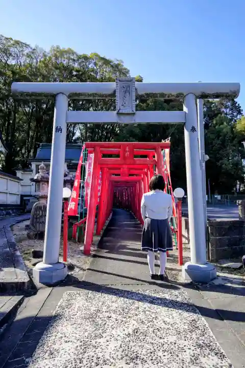 白鳥神社の{uncategorized: "未分類", other: "その他", undefined: "問題あり", building: "その他建物", grave: "お墓", sacred_gate: "鳥居", guardian: "狛犬", statue: "像", buddha: "仏像", history: "歴史", nature: "自然", garden: "庭園", animal: "動物", pagoda: "塔", temizu: "手水舎", mountain_gate: "山門・神門", sanctuary: "本殿・本堂", subordinate: "末社・摂社", art: "芸術", scenery: "景色", jizo: "地蔵", ema: "絵馬", goshuin: "御朱印", omikuji: "おみくじ", items: "授与品その他", amulet: "お守り", goshuincho: "御朱印帳", eats: "食事", festival: "お祭り", votive_dance: "神楽", shichigosan: "七五三参", wedding: "結婚式", experience: "体験その他", initially: "初詣", around: "周辺", anti_infection: "感染症対策"}