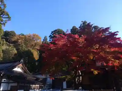 金剱宮(石川県)