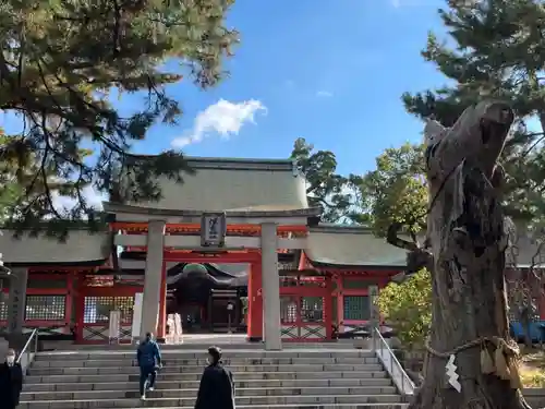 住吉大社(大阪府)