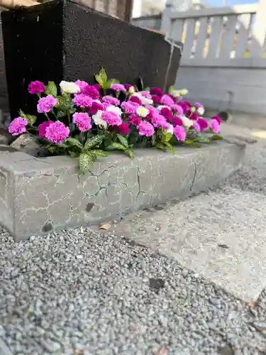 上尾御嶽神社の手水