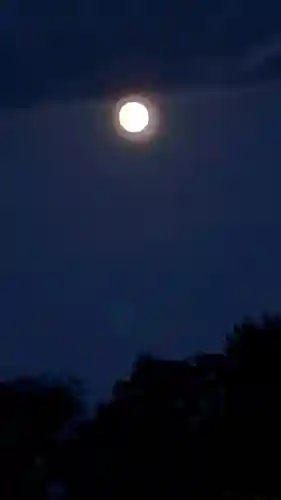 大覚寺(京都府)