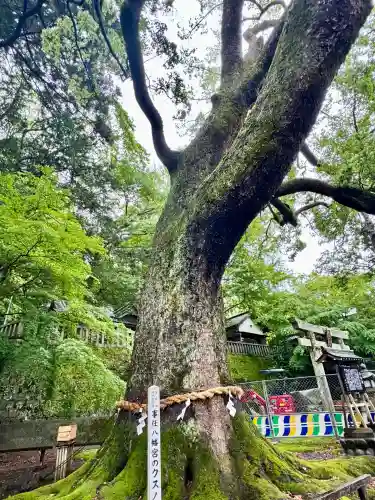 事任八幡宮(静岡県)