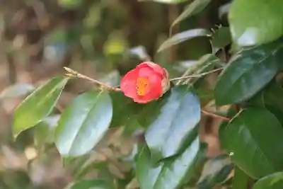 大六天麻王神社(福島県)