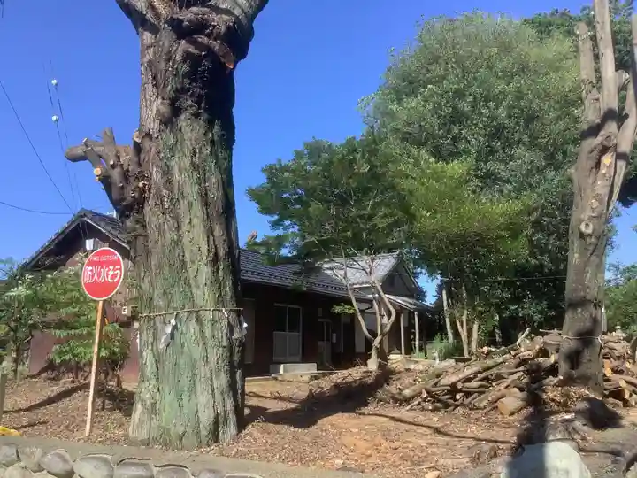 熊野社(塔野地)(愛知県)