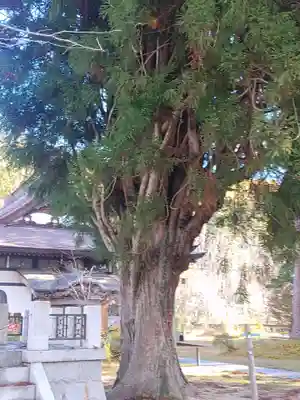 円蔵寺(福島県)