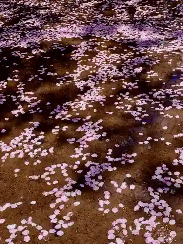 土津神社｜こどもと出世の神さま(福島県)