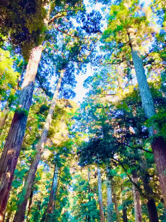 鹿島神宮(茨城県)