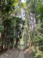 金砂神社の建物その他