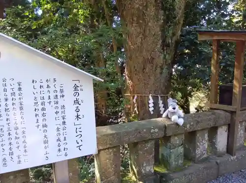 久能山東照宮(静岡県)