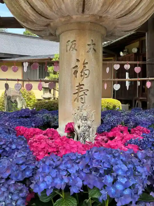 三室戸寺(京都府)