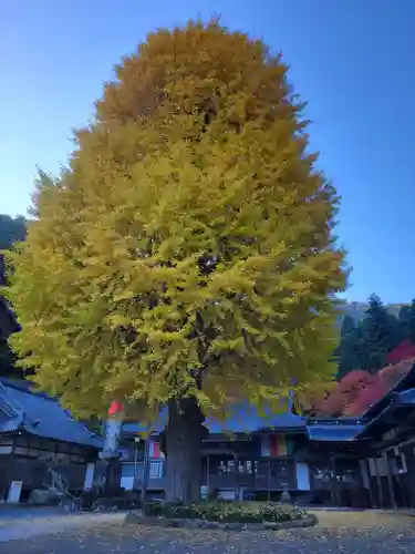 弘誓寺(兵庫県)