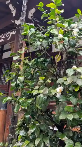 成道院(京都府)