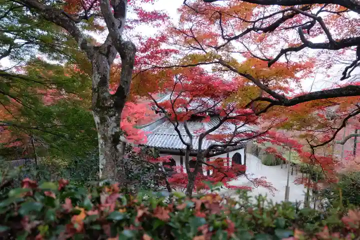 善峯寺(京都府)