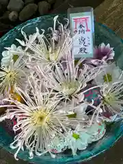 須山浅間神社(静岡県)