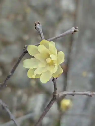 寳幢院(東京都)