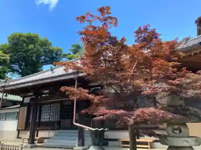 大松寺(神奈川県)