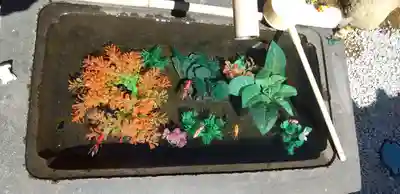 法輪寺の手水舎