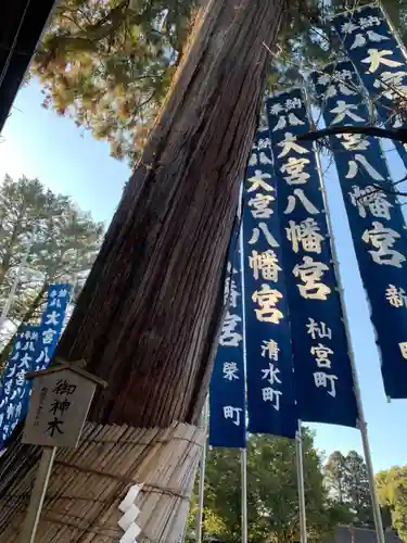 大宮八幡宮の自然