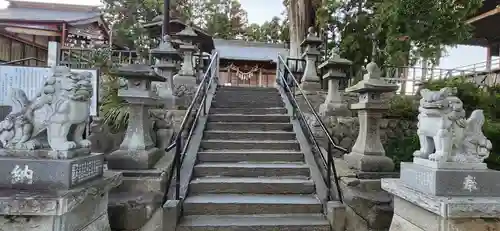 多賀神社の狛犬