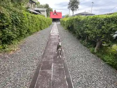 大森神社(京都府)