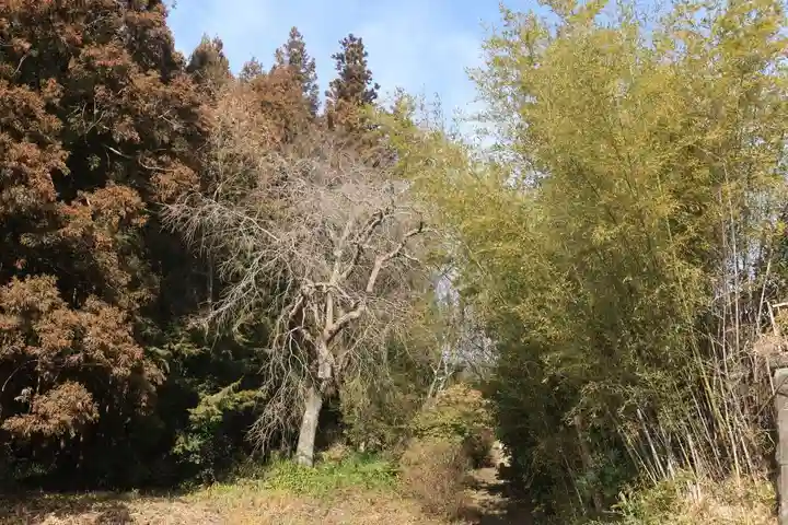 大六天麻王神社の景色