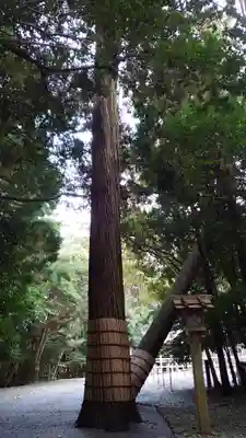 伊雜宮（皇大神宮別宮）(三重県)