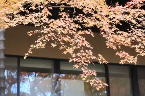 石清水八幡宮の自然