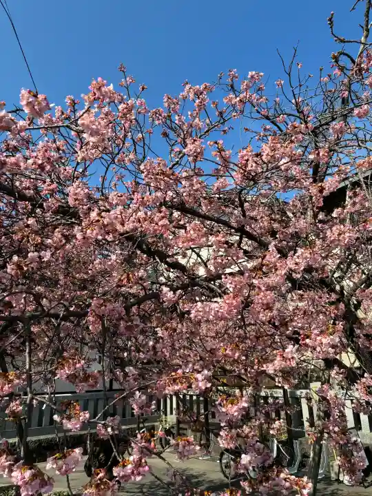 三嶋大社の{uncategorized: "未分類", other: "その他", undefined: "問題あり", building: "その他建物", grave: "お墓", sacred_gate: "鳥居", guardian: "狛犬", statue: "像", buddha: "仏像", history: "歴史", nature: "自然", garden: "庭園", animal: "動物", pagoda: "塔", temizu: "手水舎", mountain_gate: "山門・神門", sanctuary: "本殿・本堂", subordinate: "末社・摂社", art: "芸術", scenery: "景色", jizo: "地蔵", ema: "絵馬", goshuin: "御朱印", omikuji: "おみくじ", items: "授与品その他", amulet: "お守り", goshuincho: "御朱印帳", eats: "食事", festival: "お祭り", votive_dance: "神楽", shichigosan: "七五三参", wedding: "結婚式", experience: "体験その他", initially: "初詣", around: "周辺", anti_infection: "感染症対策"}