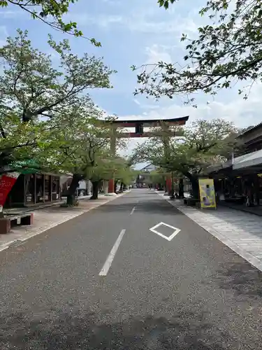 祐徳稲荷神社の鳥居