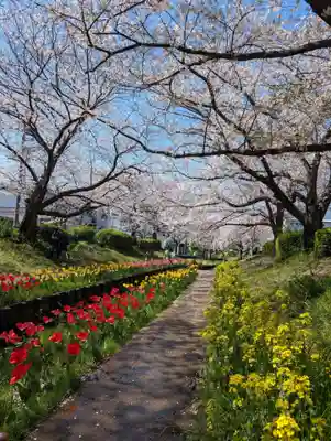 淡島社(神奈川県)