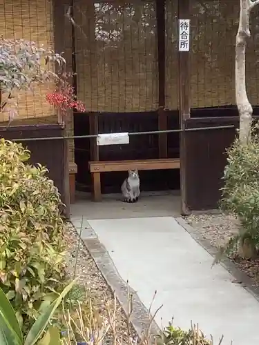 三輪神社の動物