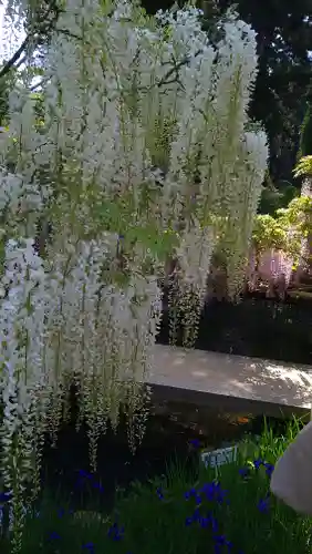 歌泉堂（春日大社神苑萬葉植物園内鎮座）(奈良県)