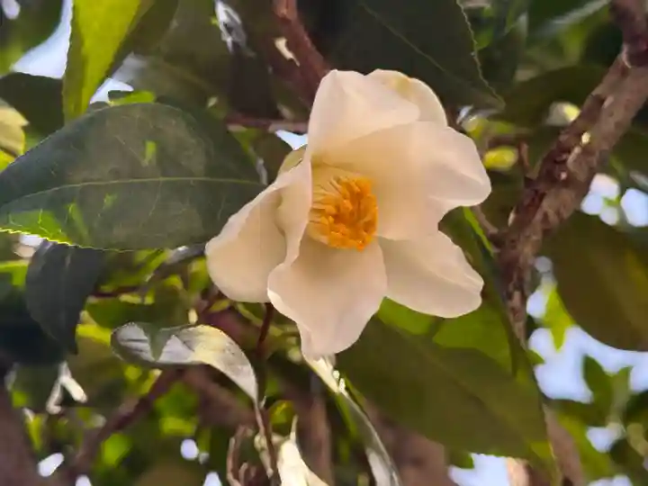 西方山極楽寺(岐阜県)