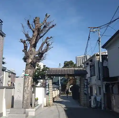 東光寺(東京都)
