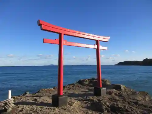 伊古奈比咩命神社の鳥居