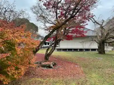 醍醐寺(京都府)